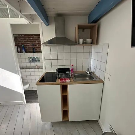 ECO STUDIOS mezzanine wifi stationnement rue gratuit terrasse dans jardin-3